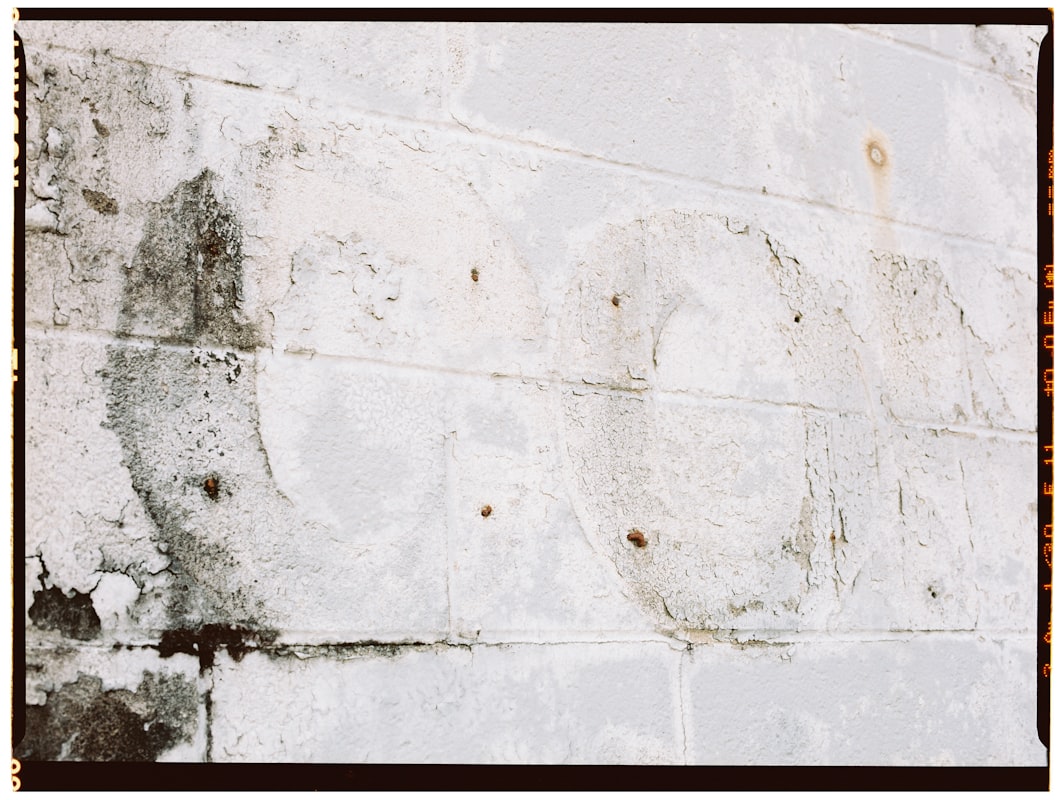 Basement Water Removal service in Melbourne, FL